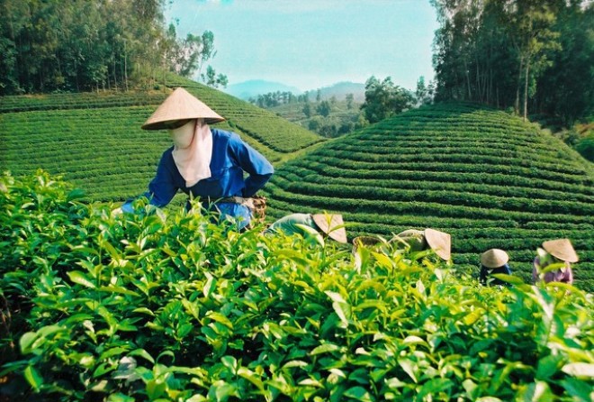 Ảnh minh họa. Nguồn: internet.
