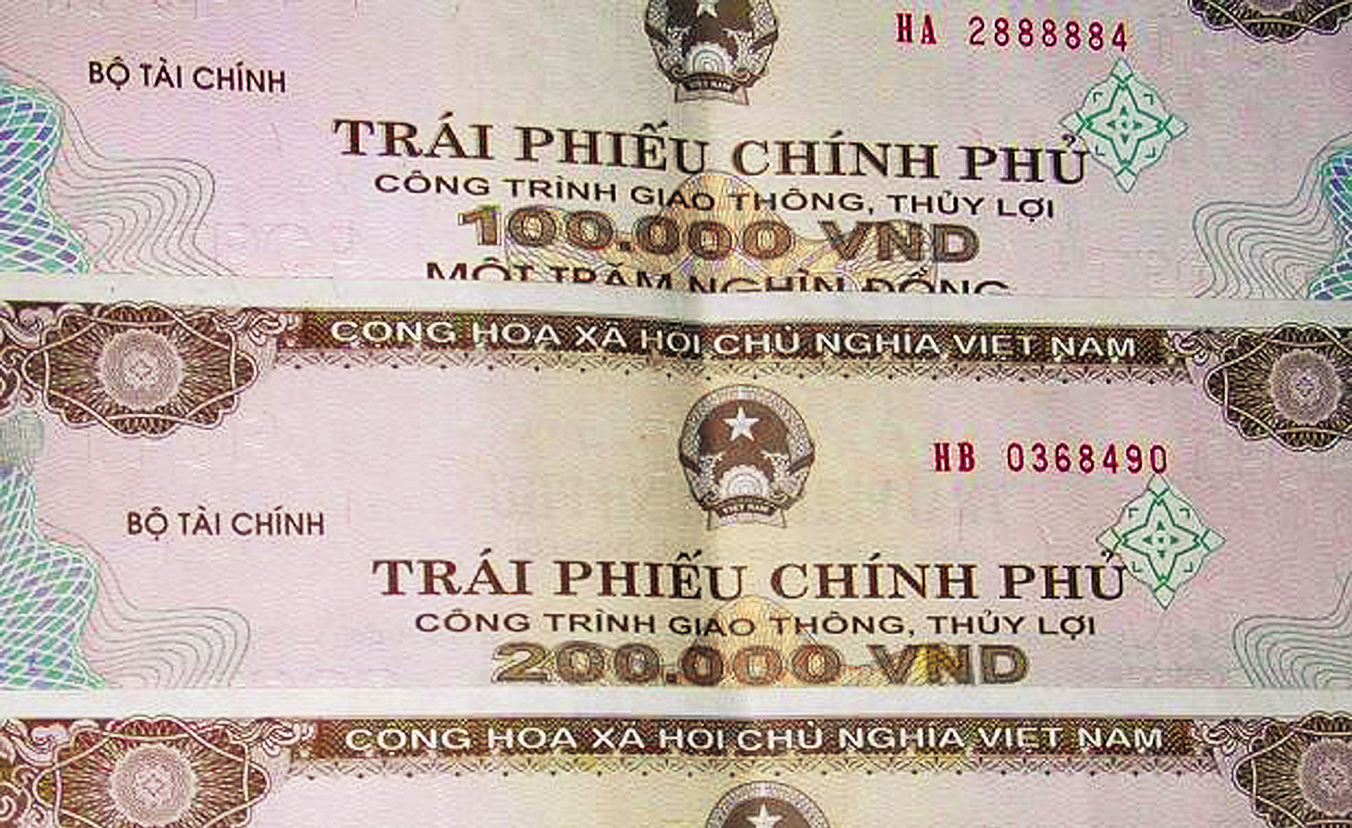 Ảnh minh họa. Nguồn: internet.