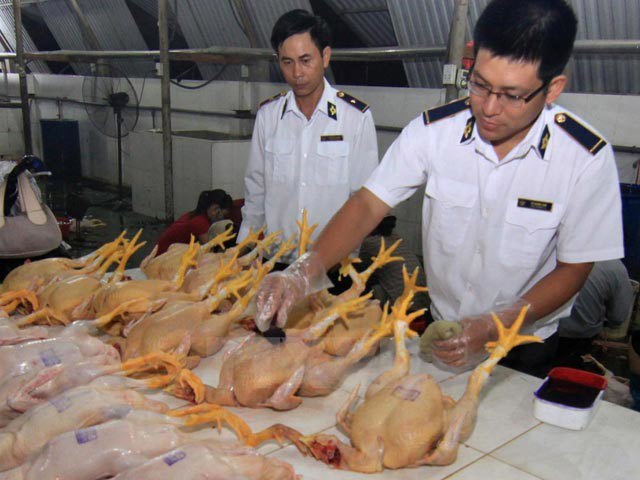 Ảnh minh họa. Nguồn: internet.