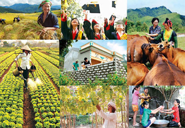 Ảnh minh họa. Nguồn: internet.