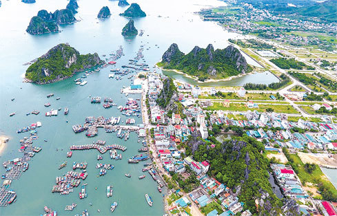 Ảnh minh họa. Nguồn: Internet