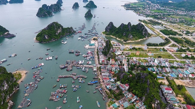 Ảnh minh họa. Nguồn: Internet