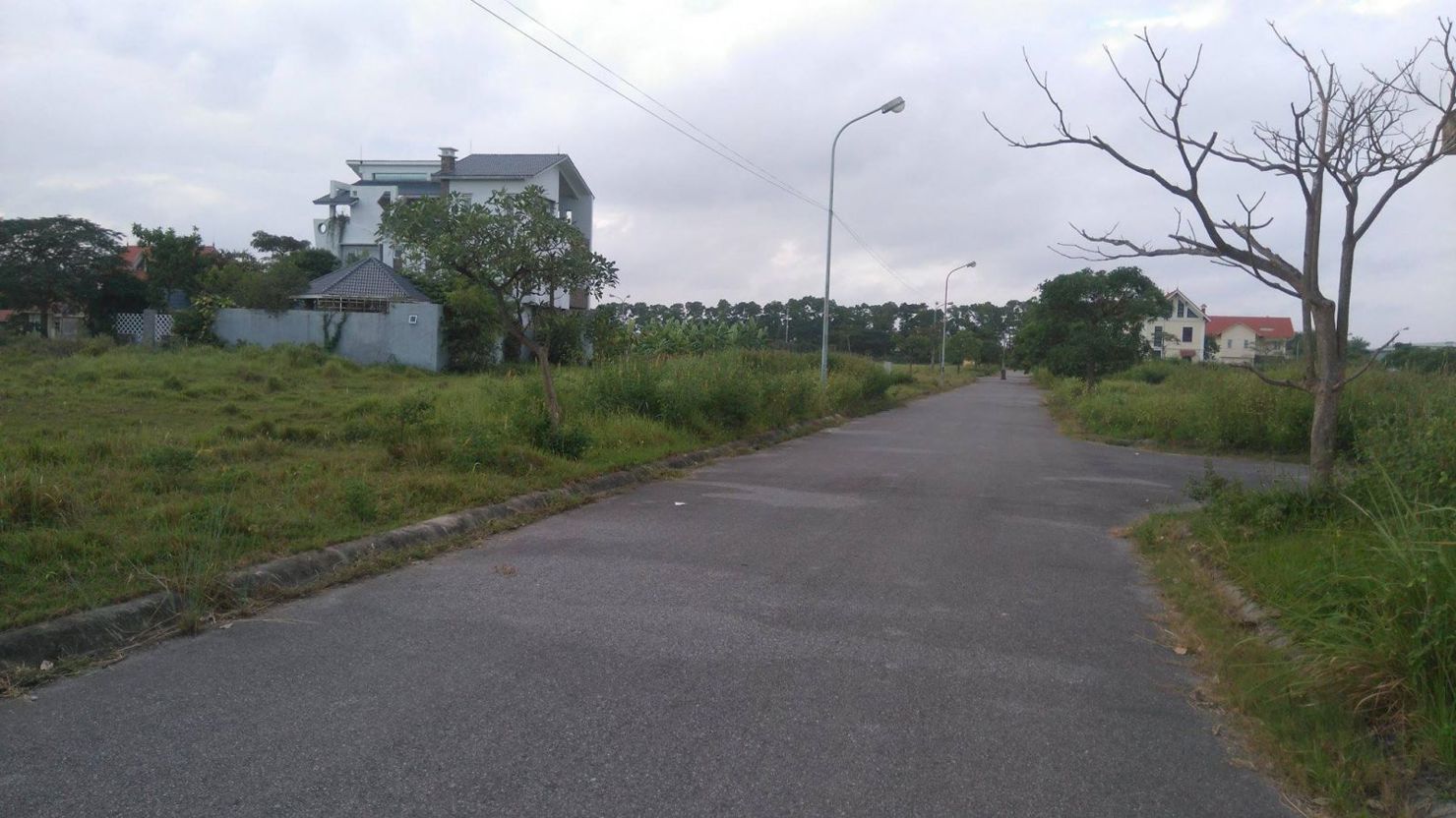 Ảnh minh họa. Nguồn: Internet