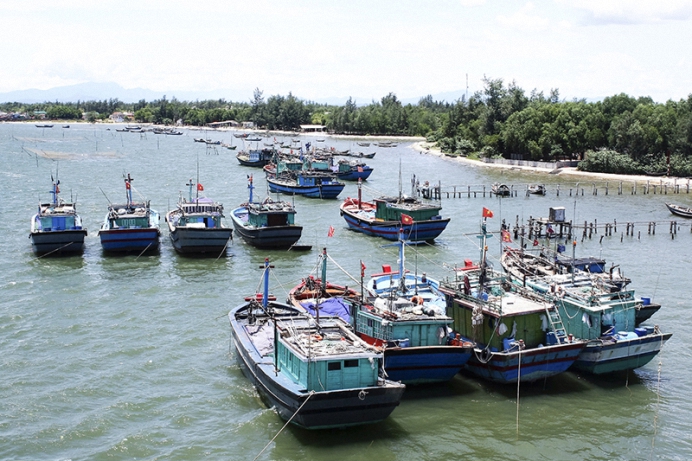 Ảnh minh họa. Nguồn: Internet