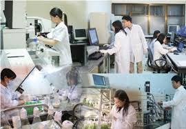 Ảnh minh họa. Nguồn: internet