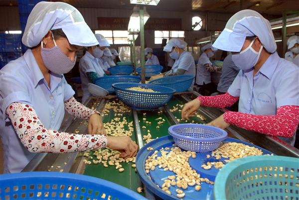 Cả nước có 46.673 DN có nợ trên 90 ngày với số tổng số tiền hơn 41,3 nghìn tỷ đồng. Ảnh: Minh họa. Ảnh: Danh Lam.