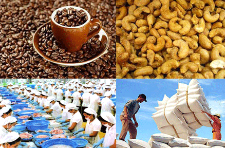 10 tháng, xuất khẩu nông, lâm, thủy sản đạt 22,5 tỷ USD