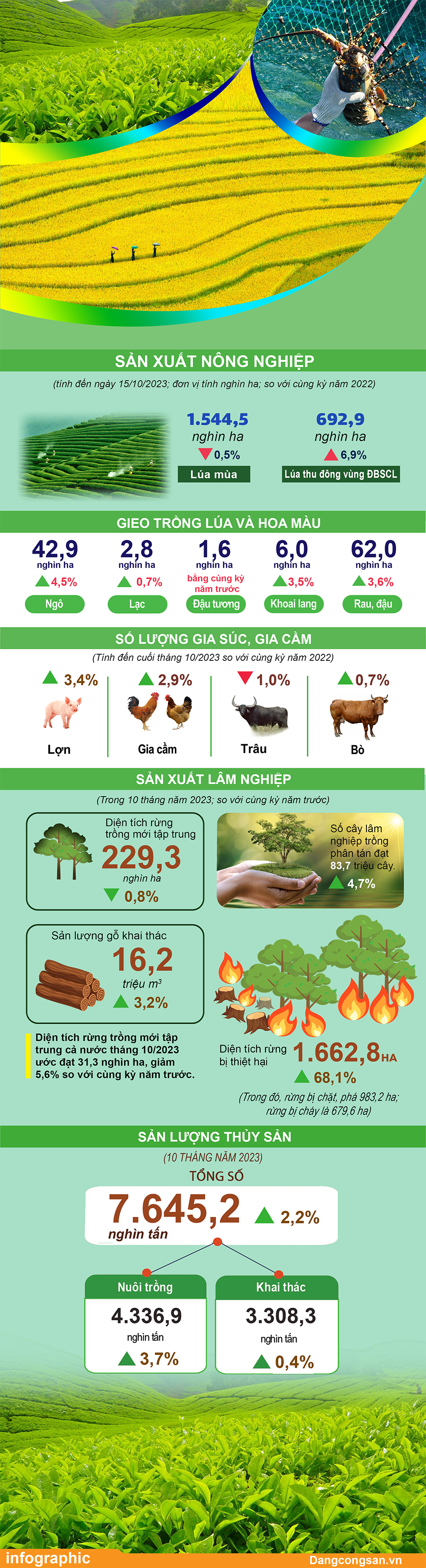 Sản xuất nông, lâm nghiệp và thủy sản 10 tháng năm 2023 - Ảnh 1