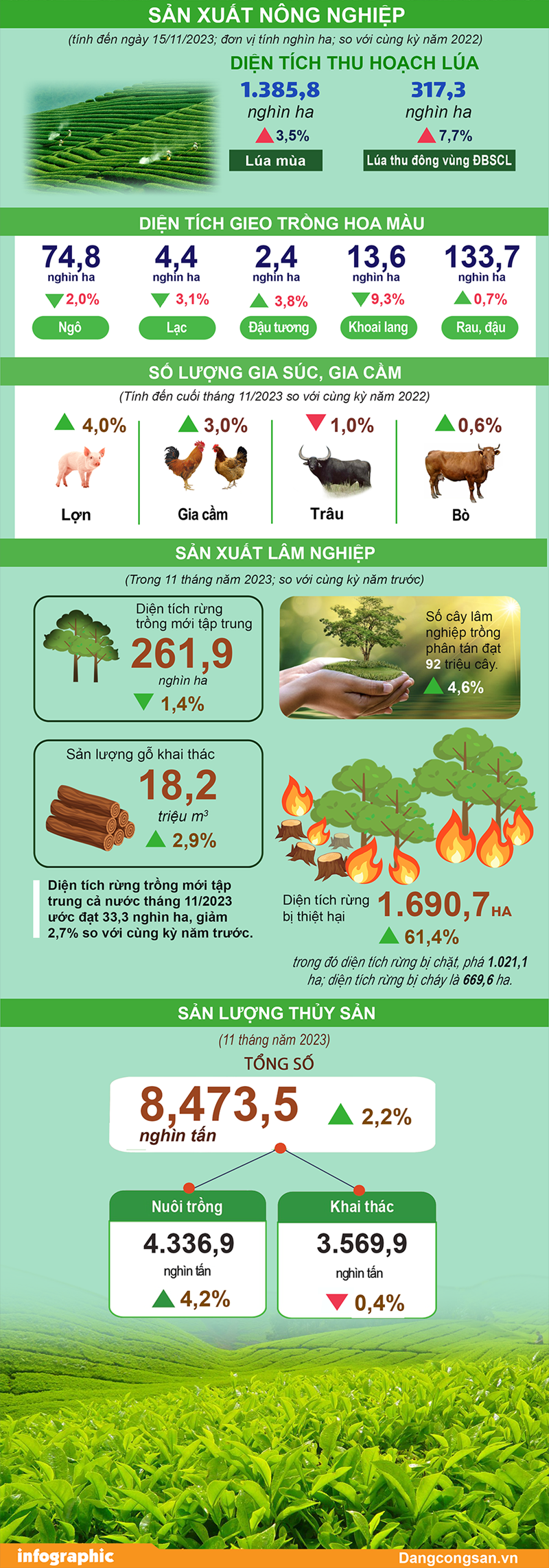 Tình hình sản xuất nông, lâm nghiệp và thủy sản 11 tháng năm 2023 - Ảnh 1