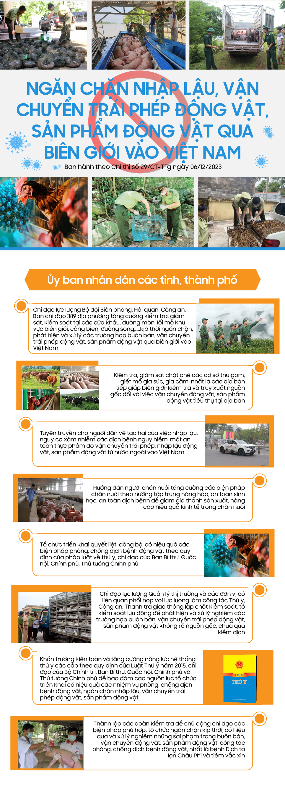 Ngăn chặn nhập lậu, vận chuyển trái phép động vật, sản phẩm động vật qua biên giới vào Việt Nam - Ảnh 1