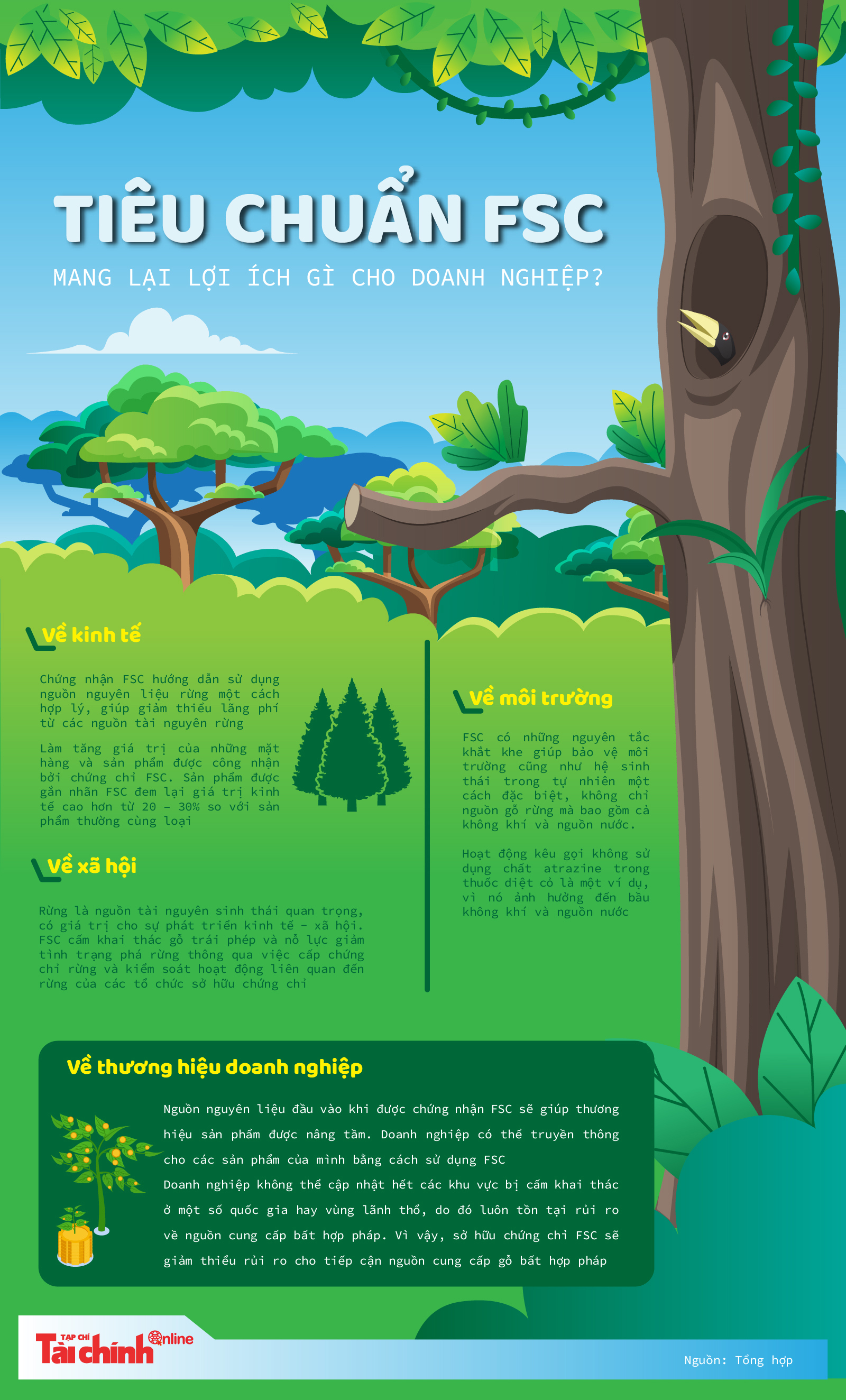 Tiêu chuẩn FSC mang lại lợi ích gì cho doanh nghiệp? - Ảnh 1