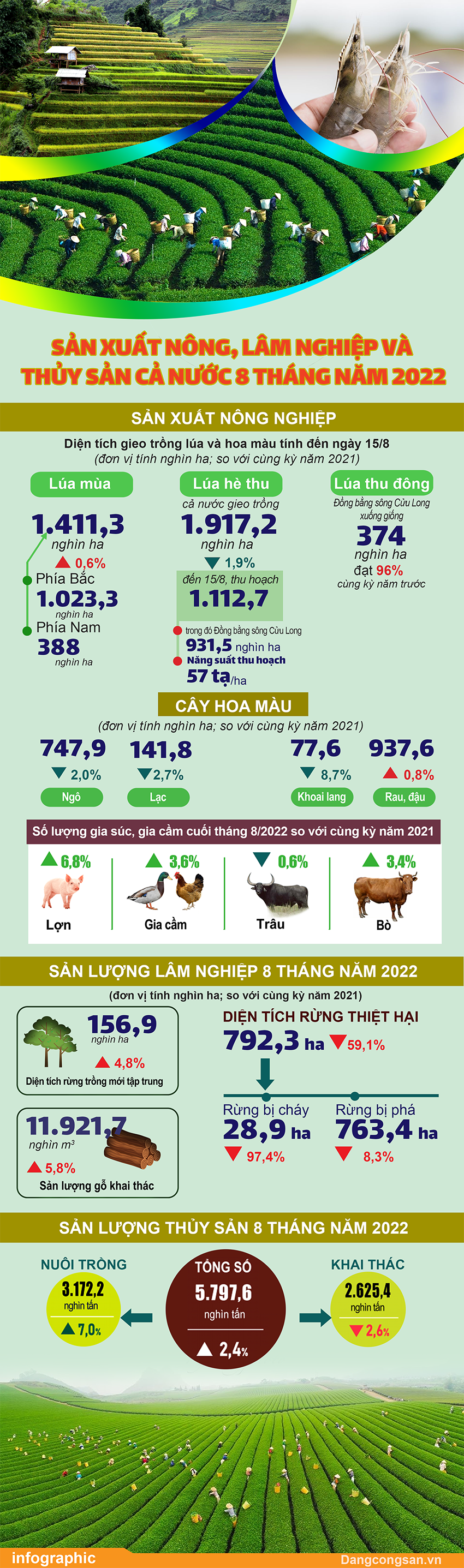 Sản xuất nông, lâm nghiệp và thủy sản cả nước 8 tháng năm 2022 - Ảnh 1