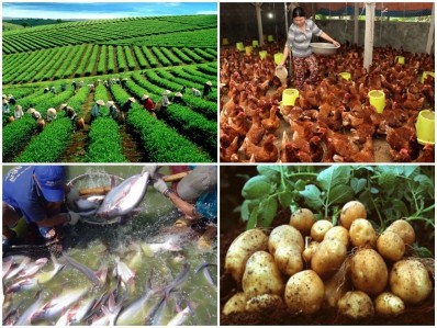 Kết nối thương mại nông nghiệp để thu hút đầu tư