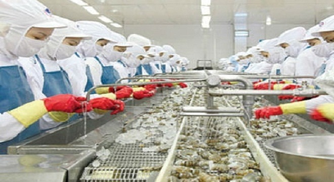 Cần chủ động mở rộng thị trường xuất khẩu tôm