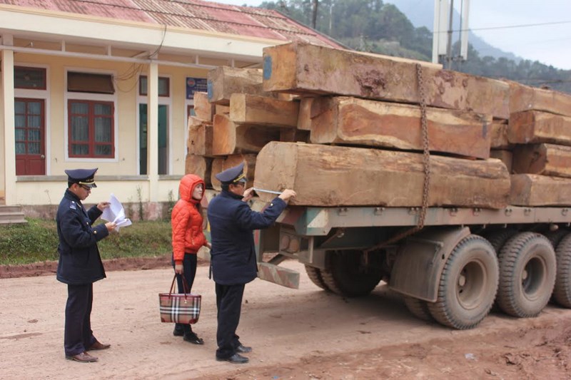 Bộ Tài chính phản hồi về thông tin ùn ứ gỗ nhập khẩu tại cửa khẩu La Lay