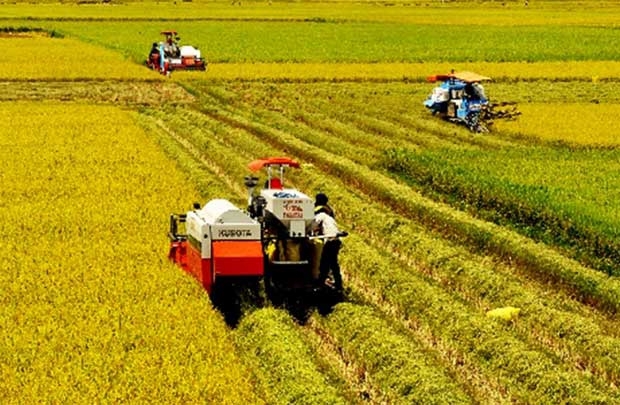 Giải pháp tái cơ cấu nông nghiệp từ góc nhìn chuyên gia