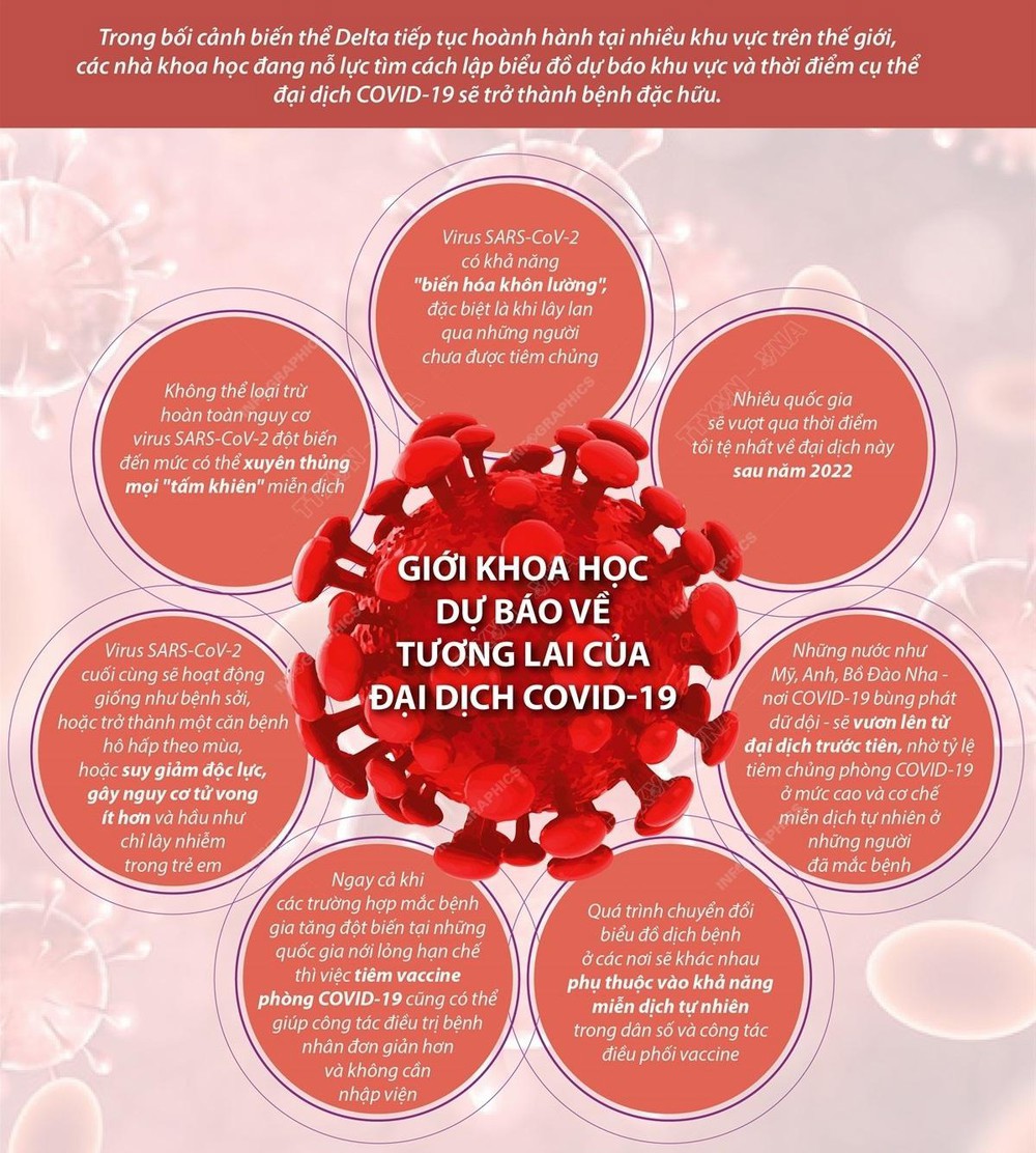 Giới khoa học dự báo về đại dịch COVID-19 - Ảnh 1