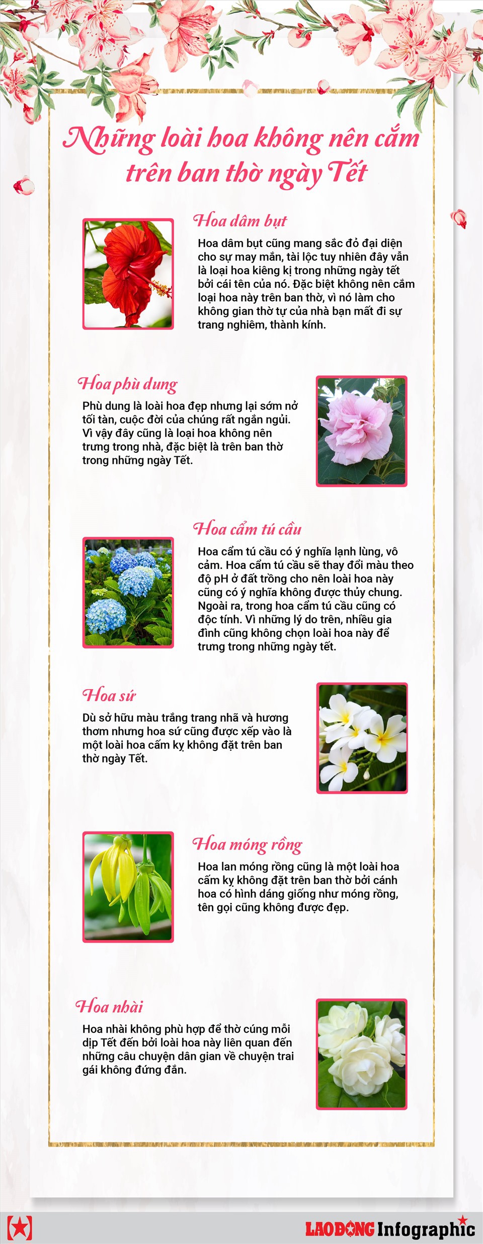 Những loài hoa không nên cắm trên ban thờ ngày Tết - Ảnh 1