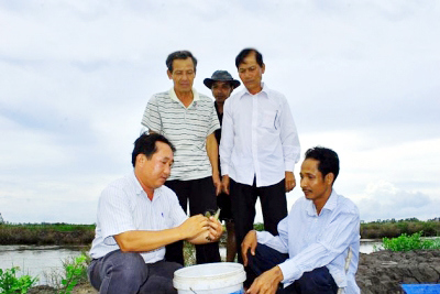 Xung quanh việc thí điểm bảo hiểm thủy sản tại đồng bằng sông Cửu Long 