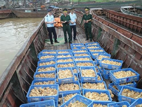 Buôn lậu, gian lận thương mại vẫn “nóng”