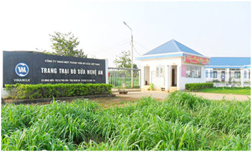 Vinamilk: Hai trang trại chăn nuôi bò sữa đạt chứng nhận ISO 9001:2008