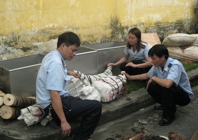 Thủ tướng tặng Bằng khen cho cán bộ Hải quan đã có thành tích bắt ngà voi, tê tê