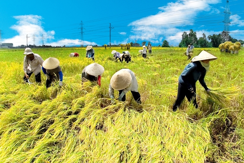 Tạo bứt phá cho nông nghiệp trước thách thức của biến đổi khí hậu và gia tăng dân số