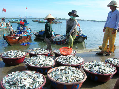 Để chính sách phát triển thủy sản nhanh chóng đi vào cuộc sống