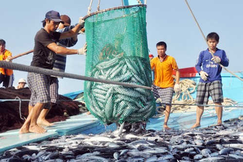 Thêm nhiều chính sách tài chính phát triển thủy sản
