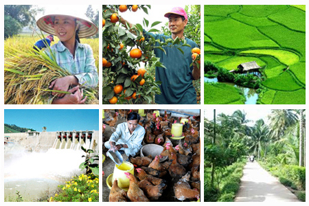  Ngành nông nghiệp năm 2014 "thắng đậm"